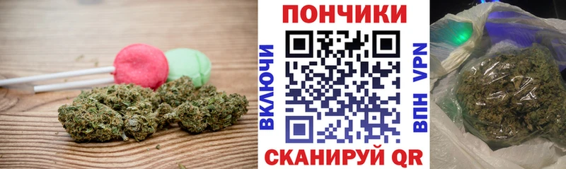 Canna-Cookies конопля Новохопёрск