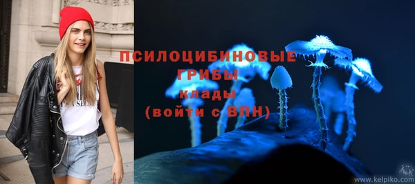 мяу мяу мука Верхний Тагил