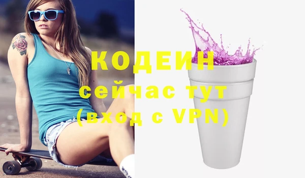 бошки Бородино