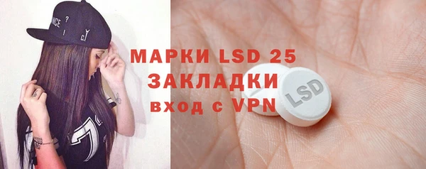 бошки Бородино