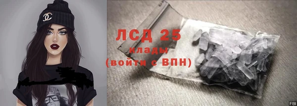 бошки Бородино