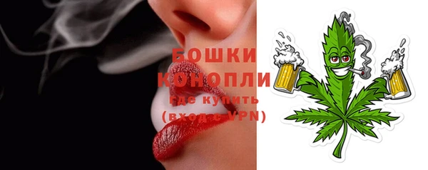 бошки Бородино