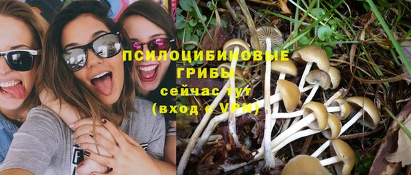 бошки Бородино