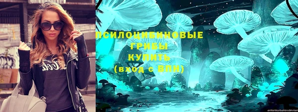 бошки Бородино