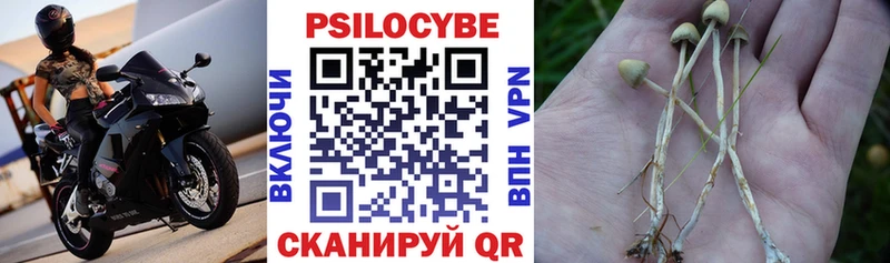 MEGA вход  Новохопёрск  Галлюциногенные грибы мухоморы 