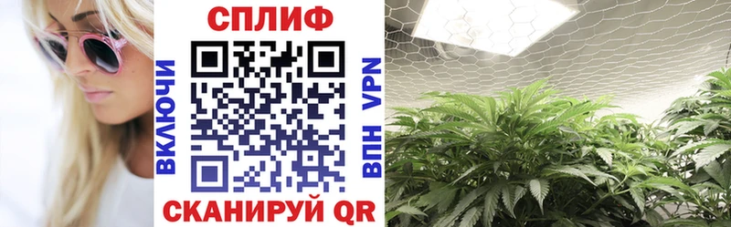 Канабис семена  купить наркотик  Новохопёрск 